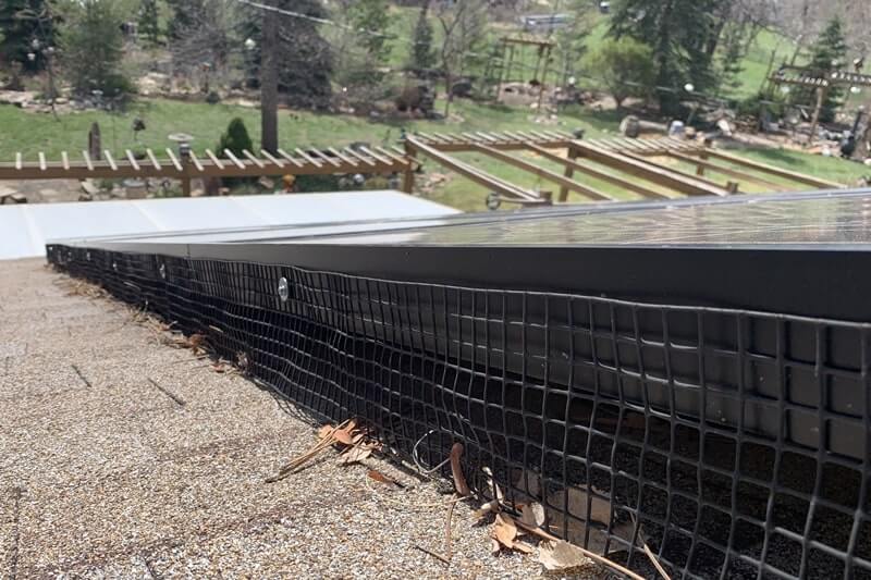 Solar animal guard